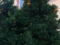 20140620_083338_1